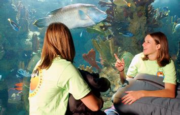 seaworld888|SeaWorld San Diego Camps & Trips – SeaWorld Educational .